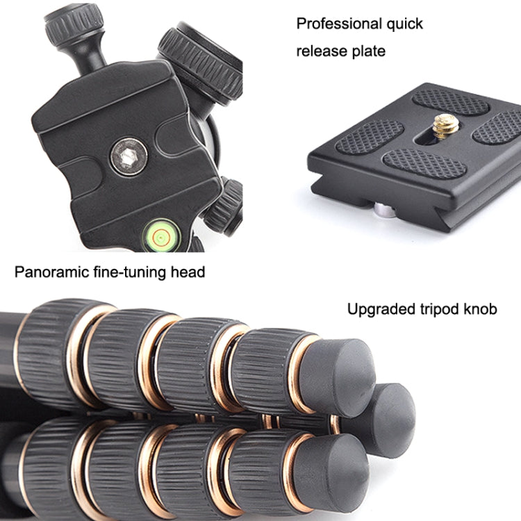 QingZhuangShiDai Q666C Portable Travel Photography Ball Head SLR Camera Carbon Fiber Tripod, Q666C(Black)