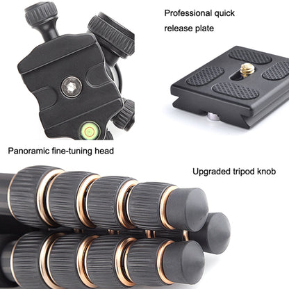 QingZhuangShiDai Q666C Portable Travel Photography Ball Head SLR Camera Carbon Fiber Tripod, Q666C(Black)