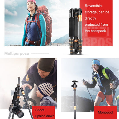 QingZhuangShiDai Q666C Portable Travel Photography Ball Head SLR Camera Carbon Fiber Tripod, Q666C(Black)