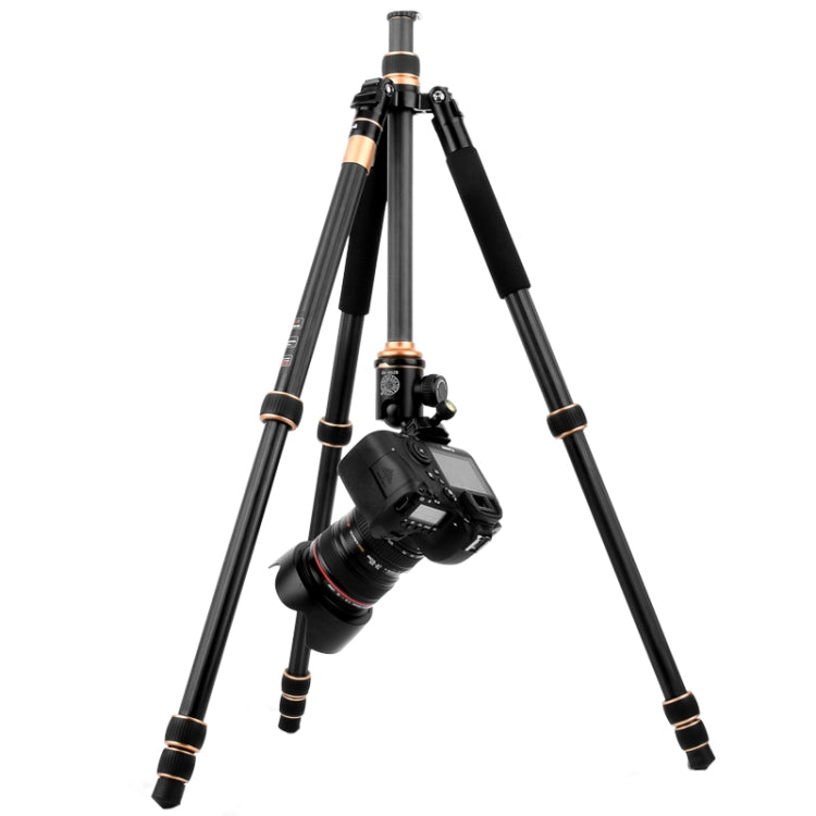 QingZhuangShiDai Q222C SLR Camera Carbon Fiber Portable Travel Tripod, Q222C(Black)