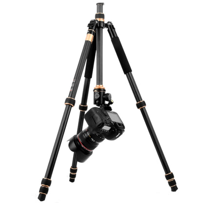 QingZhuangShiDai Q222C SLR Camera Carbon Fiber Portable Travel Tripod, Q222C(Black)