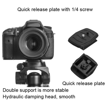 YUNTENG 696 SLR Tripod General Mobile Phone Stand, YUNTENG 696