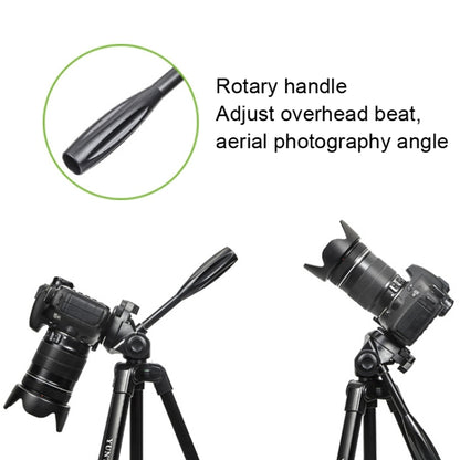 YUNTENG 696 SLR Tripod General Mobile Phone Stand, YUNTENG 696