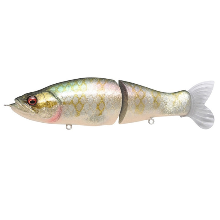 135mm Lure Bait Bionic Fishing Lures Slowly Sinking Pencil Knobby Fish Hard Bait Fishing Gear, 135mm M, 135mm C, 135mm N, 135mm D, 135mm O, 135mm E, 135mm P, 135mm F, 135mm Q, 135mm G, 135mm R, 135mm H, 135mm I, 135mm J, 135mm K, 135mm A, 135mm L, 135mm B