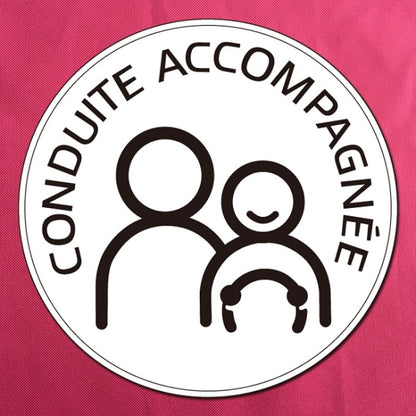20 PCS Dual People Waterproof And Sun Protection Magnetic Car Sticker, Dual People
