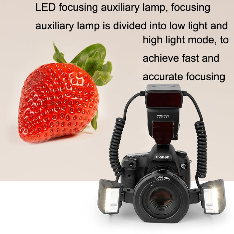 For Canon TTL Oral Insect Insect Teeth Ring Light YONGNUO YN24EX Macro Ring Flash Speedlite, YN24EX