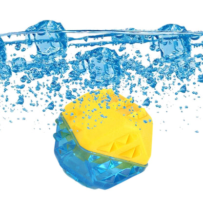 Frozen Bone Toys Pet Dog Teeth Grinding TPR Toys, Specification: Bone, Ball, Bone, Small Fish