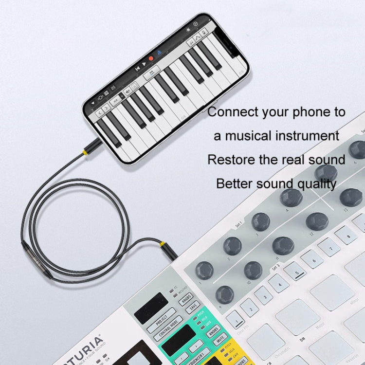 JINGHUA 3.5mm Cable Audio Conversion Microphone Two-way Transcriber, 1m