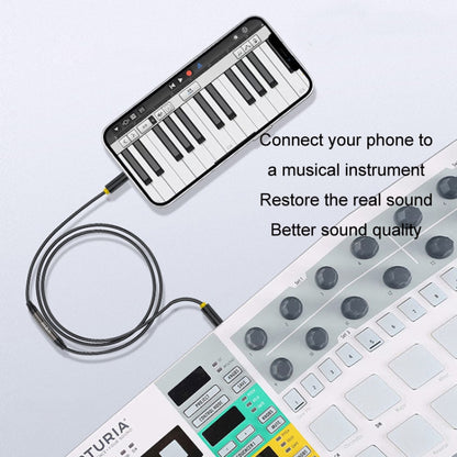 JINGHUA 3.5mm Cable Audio Conversion Microphone Two-way Transcriber, 1m