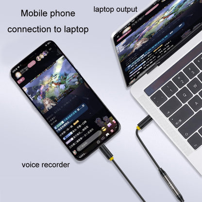 JINGHUA 3.5mm Cable Audio Conversion Microphone Two-way Transcriber, 1m
