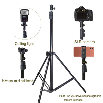 BEXIN  LSC05 Camera Light Stand Conversion Head 1/4-inch mount for Umbrella Holder, LSC05  Light Stand