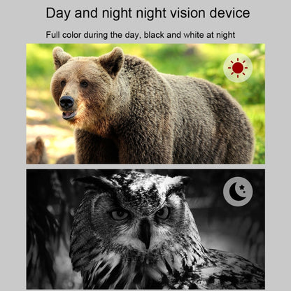 APEXEL 3-inch LCD HD Screen Photo Video Portable Binoculars Digital Infrared Night Vision Device, APL-NV009