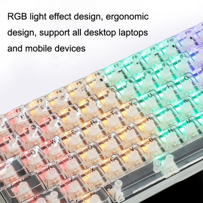 100 Keys Customized Gaming Wired Mechanical Keyboard Transparent Keycap, Green Shaft (Black), Red Shaft (White), Red Shaft (Black)
