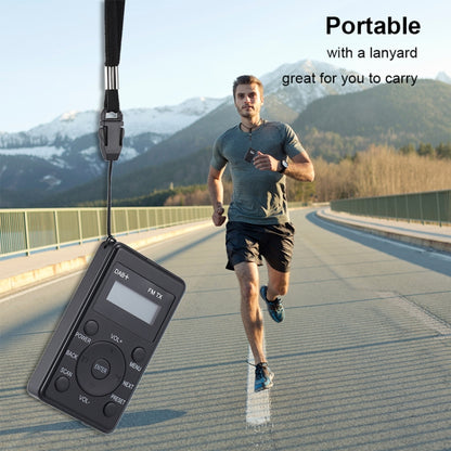 HanRongda HRD-100 Portable Digital Display DAB+ / DAB / FM Radio, HRD-100