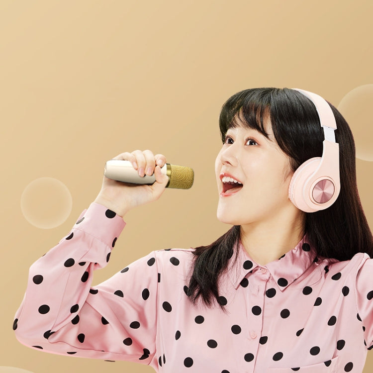Havit P1 Portable Singing Home Wireless Bluetooth Speaker Microphone Set, Dual-microphone