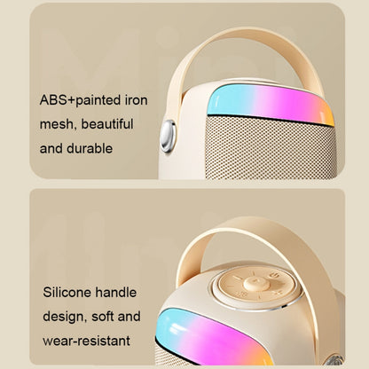 Havit P1 Portable Singing Home Wireless Bluetooth Speaker Microphone Set, Dual-microphone