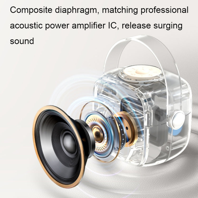 Havit P1 Portable Singing Home Wireless Bluetooth Speaker Microphone Set, Dual-microphone