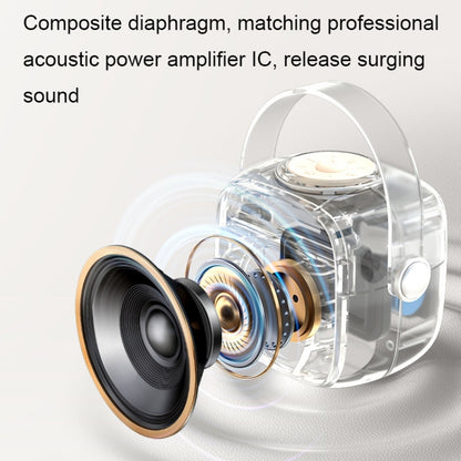 Havit P1 Portable Singing Home Wireless Bluetooth Speaker Microphone Set, Dual-microphone