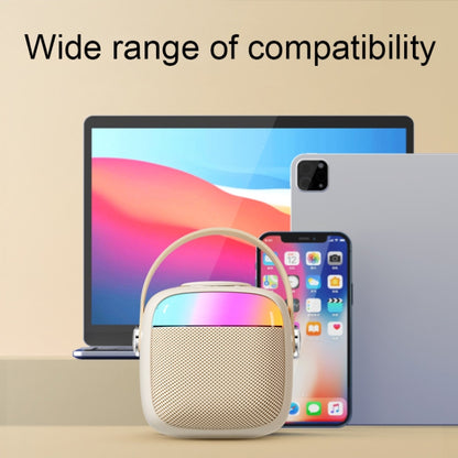 Havit P1 Portable Singing Home Wireless Bluetooth Speaker Microphone Set, Dual-microphone
