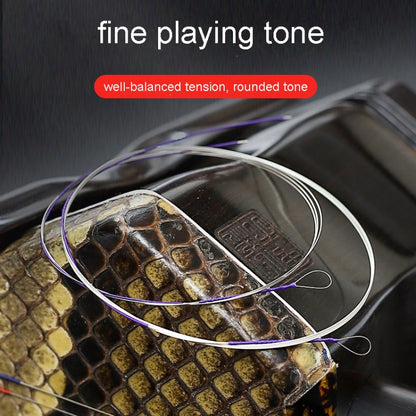 Concert Grade Silver Plated Copper Wire Wound Erhu Strings Set, Alice AT11
