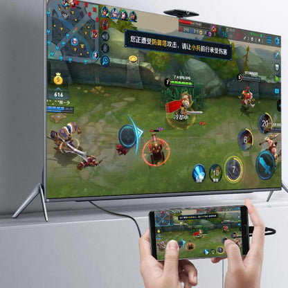 USB-C/Type-C To VGA HD Converter 1080P Laptop Connecting Display Mobile Phone Same Screen Line, Type-C To VGA Female