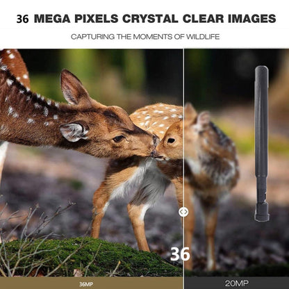 HC-801Pro 4K 4G Outdoor Hunting Camera App Remote Mobile Phone Control To View Photos And Video At Any Time, EU Plug, US Plug, AU Plug