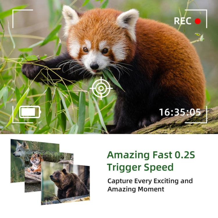 4K Outdoor Tracking Hunting Camera APP Remote Phone Control To View Photos / Video At Any Time, WiFi801Pro
