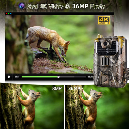 4K Outdoor Tracking Hunting Camera App Remote Phone Operation To View Photos / Videos At Any Time, WiFi900Pro