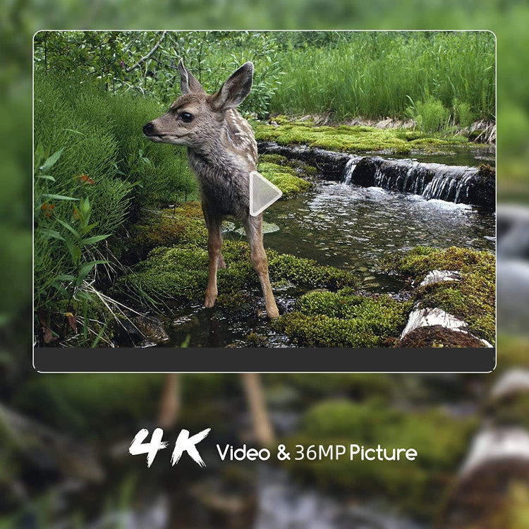 4K Outdoor Tracking Hunting Camera App Remote Phone Operation To View Photos / Videos At Any Time, WiFi900Pro
