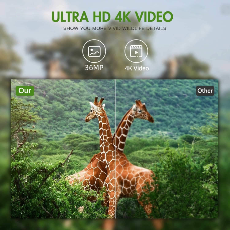 4K Outdoor Tracking Hunting Camera App Remote Phone Operation To View Photos / Videos At Any Time, WiFi900Pro