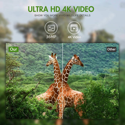 4K Outdoor Tracking Hunting Camera App Remote Phone Operation To View Photos / Videos At Any Time, WiFi900Pro