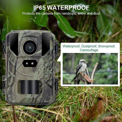 Mini Wildlife Hunting Camera 50MP/4K Keep Way Night Vision Infrared Camera, Mini800