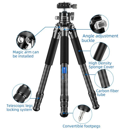 Carbon Fiber Portable Folding Tripod SLR Camera Low Gravity Center Gimbal Photography Bracket, BEXIN RC254, BEXIN RC254+LH-28