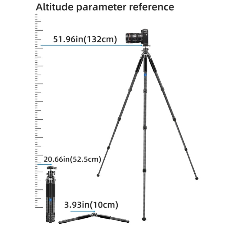 Carbon Fiber Portable Folding Tripod SLR Camera Low Gravity Center Gimbal Photography Bracket, BEXIN RC254, BEXIN RC254+LH-28