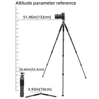 Carbon Fiber Portable Folding Tripod SLR Camera Low Gravity Center Gimbal Photography Bracket, BEXIN RC254, BEXIN RC254+LH-28