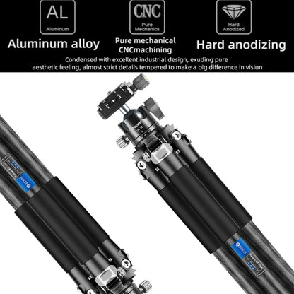 Carbon Fiber Portable Folding Tripod SLR Camera Low Gravity Center Gimbal Photography Bracket, BEXIN RC254, BEXIN RC254+LH-28