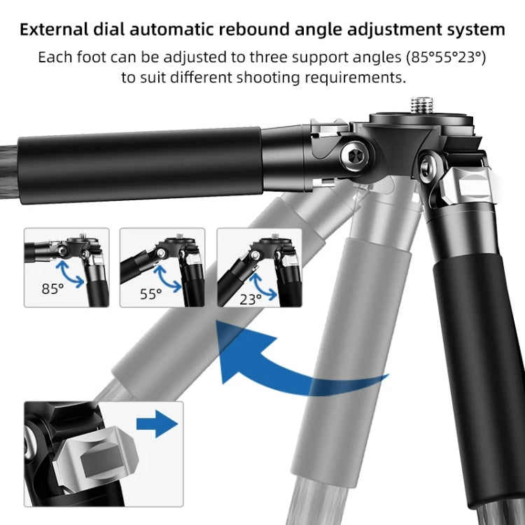 Carbon Fiber Portable Folding Tripod SLR Camera Low Gravity Center Gimbal Photography Bracket, BEXIN RC254, BEXIN RC254+LH-28