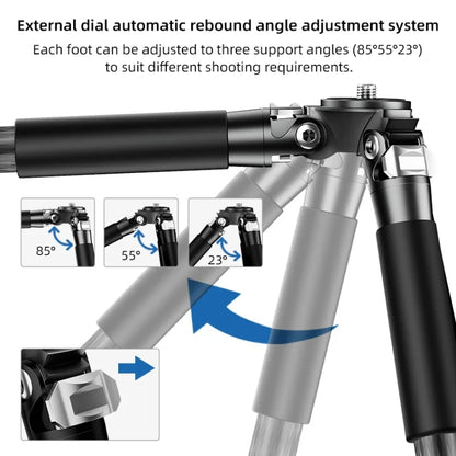 Carbon Fiber Portable Folding Tripod SLR Camera Low Gravity Center Gimbal Photography Bracket, BEXIN RC254, BEXIN RC254+LH-28