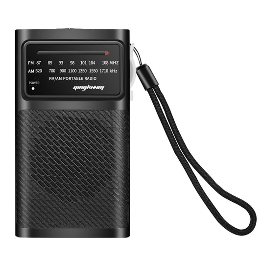 J-180 Portable Pointer FM/AM Two-Band Radios With Carrying Clip, Regular Version
