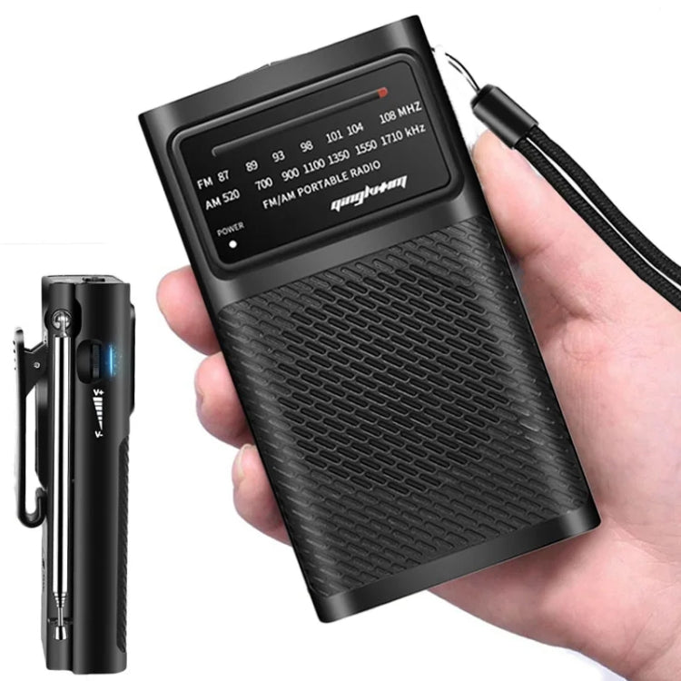J-180 Portable Pointer FM/AM Two-Band Radios With Carrying Clip, Regular Version