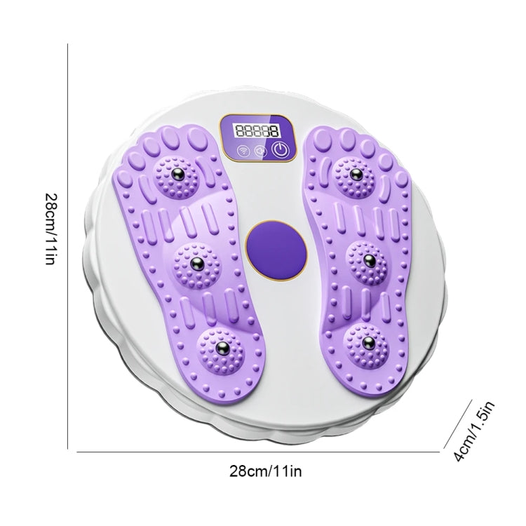 Rotating Waist Disc Twist Machine with Electronic Counter Magnetic Massage for Body Shaping, Green, White + Purple, White + Green