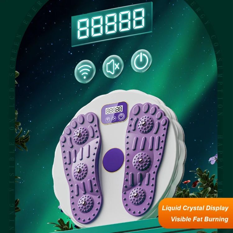 Rotating Waist Disc Twist Machine with Electronic Counter Magnetic Massage for Body Shaping, Green, White + Purple, White + Green