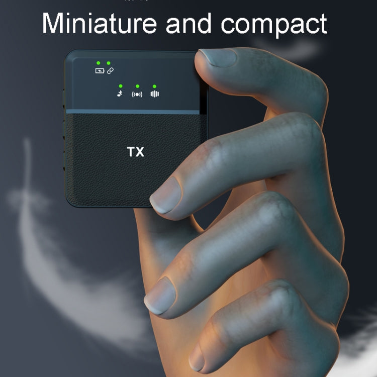 Wireless Lavalier Microphone One To One Live Recording Noise Canceling Mics, Type-C, 8 Pin