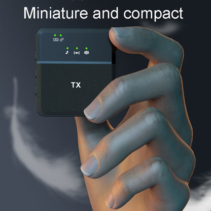 Wireless Lavalier Microphone One To One Live Recording Noise Canceling Mics, Type-C, 8 Pin