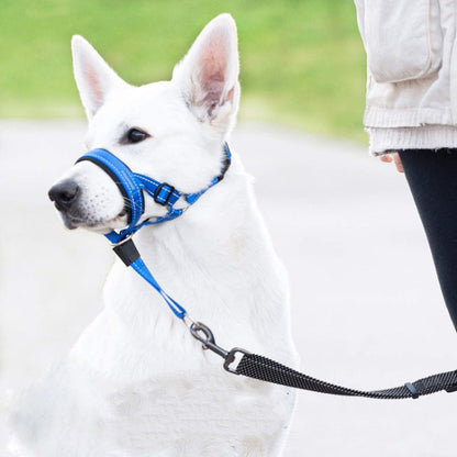 Pet Anti-Bite Leash Cover Riot Rush Pull Dog Leash, S, M, L, XL