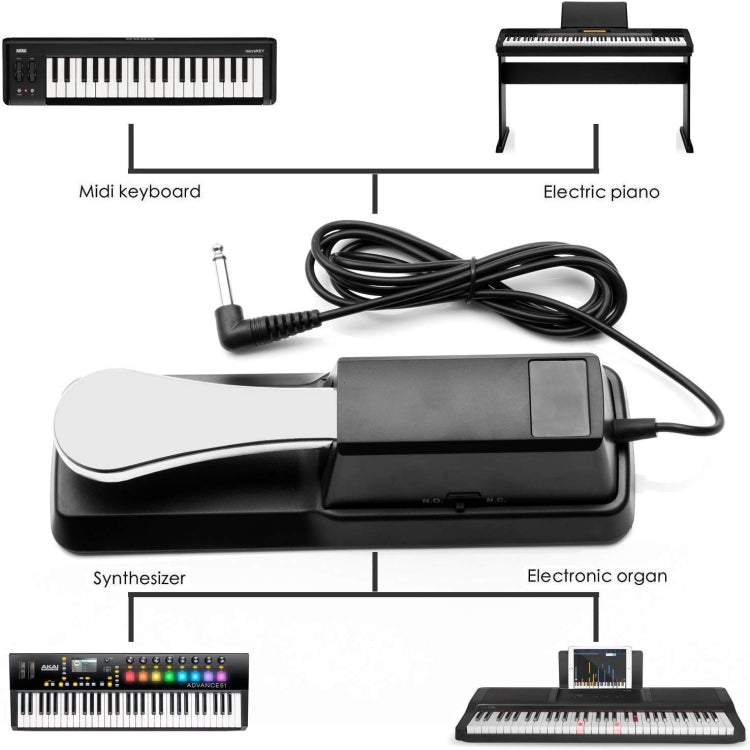 PL-02 6.35mm Connector Piano Sustain Pedal MIDI Synthesizer Pedal Musical Instrument Accessories, Cable Length: 1.6m