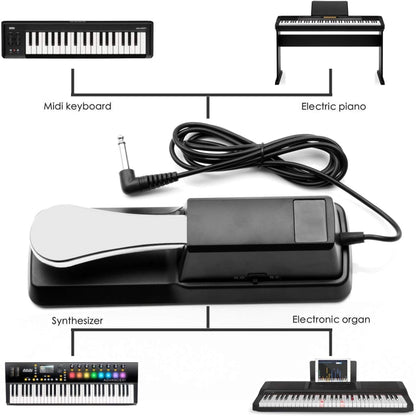 PL-02 6.35mm Connector Piano Sustain Pedal MIDI Synthesizer Pedal Musical Instrument Accessories, Cable Length: 1.6m
