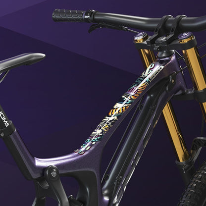 ENLEE E-2210 10pcs /Set Bicycle Jersey Stickers Mountain Bike Frame Protection Adhesive Tape, Transparent, Explosion, Anime, Aurora, Camouflage, Shark, Snake, Stripe, Graffiti, Chinese Style