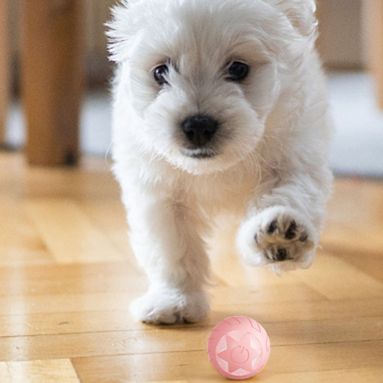 Star Rolling Ball Cats Motorized Toy Pets Teasing Toys