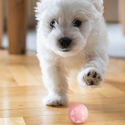 Star Rolling Ball Cats Motorized Toy Pets Teasing Toys